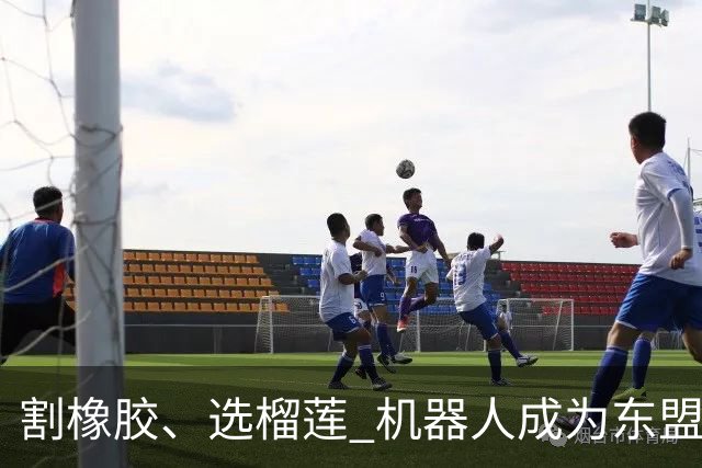 割橡胶、选榴莲 机器人成为东盟市场“新宠” 各国释放明确需求信号